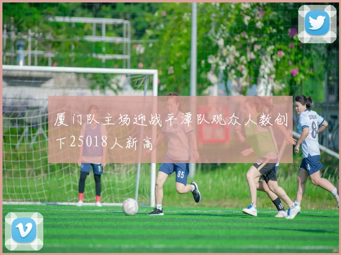 厦门队主场迎战平潭队观众人数创下25018人新高