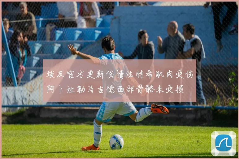 埃及官方更新伤情法特希肌肉受伤阿卜杜勒马吉德面部骨骼未受损