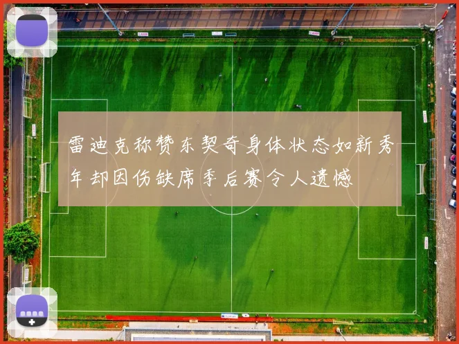 雷迪克称赞东契奇身体状态如新秀年却因伤缺席季后赛令人遗憾